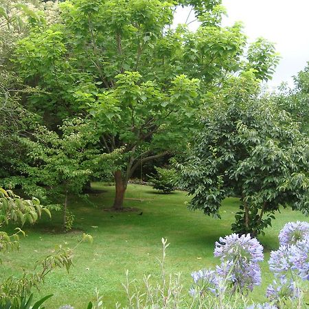 Papa'S Paradise Guest House Wairoa Exterior photo